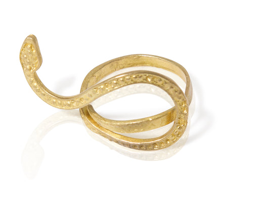 Cyrus the snake